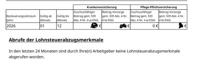 Elster Abfrage 26.JPG